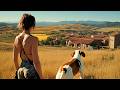 Best Family Movie The Child And The Champion Dog Full Movie In English 4K