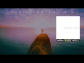 Ryan Farish - Carried by the Wind (Official Audio)