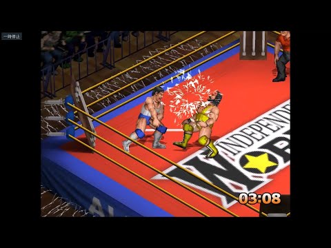 ファイヤープロレスリングD