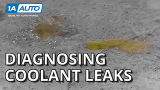 Found Puddles Under Your Car or Truck? How to Diagnose Coolant Leaks!