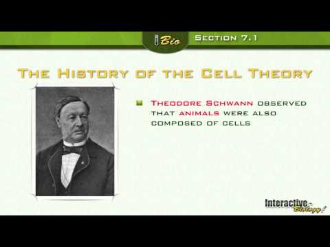 The Discovery of Cells