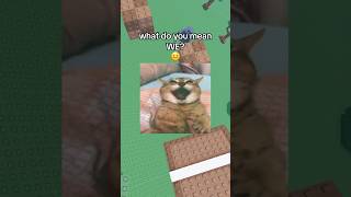 Saturday Struggles😭🙏#roblox #robloxrant #rblx #relatable #kittyrants