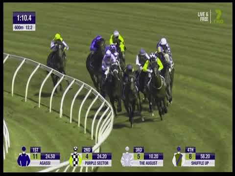 Randwick race 2 April 6 2019     Ringerdingding