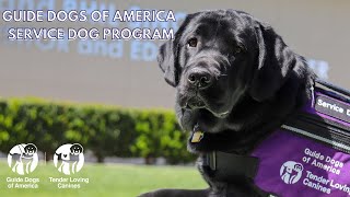 Service Dog Program