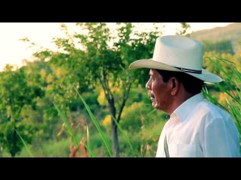 JULIO OJEDA ft Rafael Alemán y su grupo Implacable - El pico caido