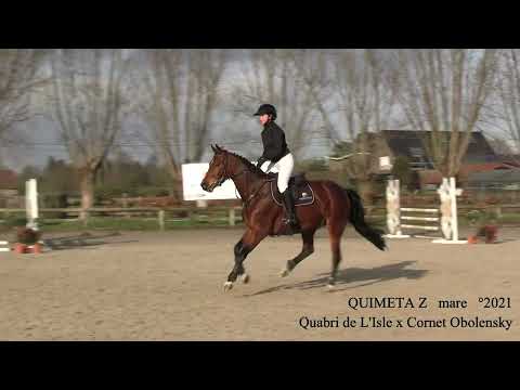 Quimeta Z