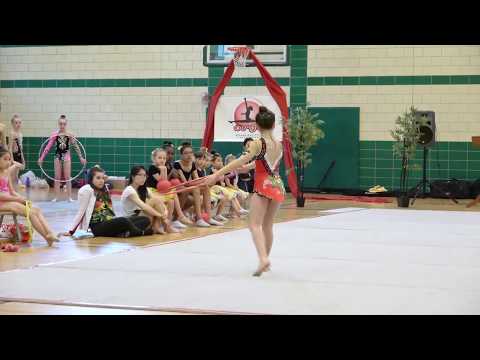 2017 Summer Gymnaestrada - Vlada Coveny