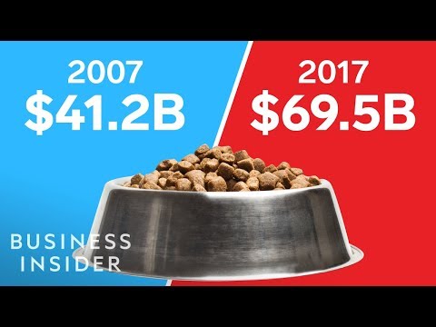 Why Expensive Dog Food Is A Ripoff