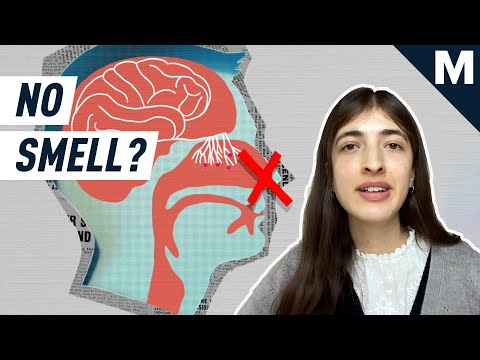 Everything You Need to Know About Anosmia, The Weirdest COVID Symptom | Mashable Explains
