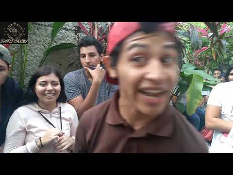 HELLBOYS vs 17 VERDE | FINAL | ONE SHOT DUPLAS | TAPS CREW