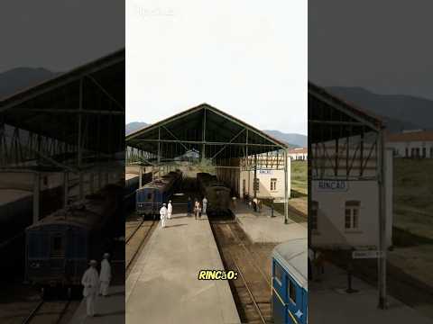 RINCÃO - SP E AS FERROVIAS