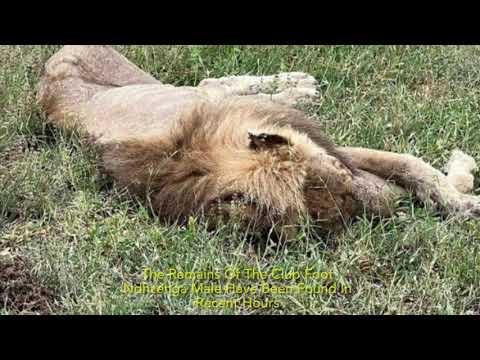 🔥R.I.P King Of Mala Mala