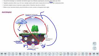 Eğitim Vadisi 10.Sınıf Biyoloji 17.Föy Madde Döngüleri Konu Anlatım Videoları