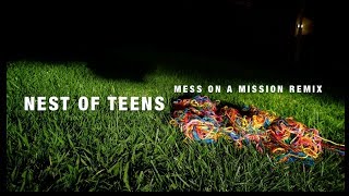 Liars - Mess On A Mission (Nest Of Teens Remix)