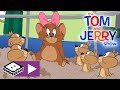 The Tom And Jerry Show 10 000 Hamster Pups Boomerang UK