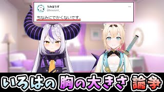 【Twitter スペース】「風真いろはの胸のサイズ論争問題」に関して話すいろはとラプ様【風真いろは/ラプラス・ダークネス/ホロライブ/切り抜き/holoX】