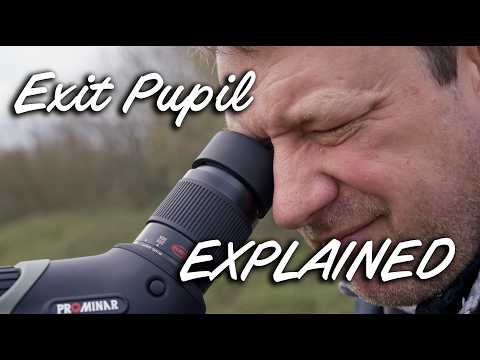 What Is Exit Pupil? The Binocular Spec That Matters Most