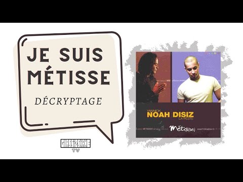 Yannick Noah, Je suis métisse : Décryptage