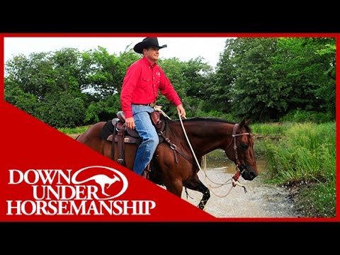 Clinton Anderson: How to Get Your Horse to Step Through Mud - Downunder Horsemanship