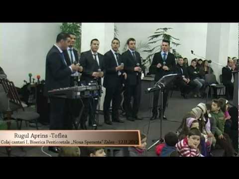 Fratii de la Toflea la Zalau - Colaj I