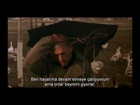 Çingeneler Zamanı "Dom Za Vešanje"