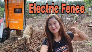 Watch Video