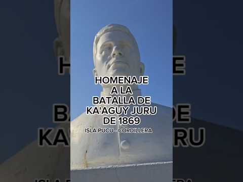 Una más de este monumento homenaje a la batalla de ka'aguy juru de 1869. Isla pucu - Cordillera