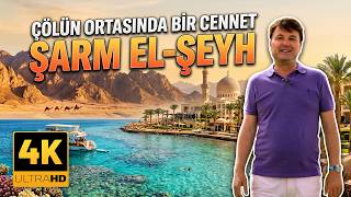 Şarm El Şeyh Gezi Rehberi: Kızıldeniz’in Altındaki Gizli Dünya🐫