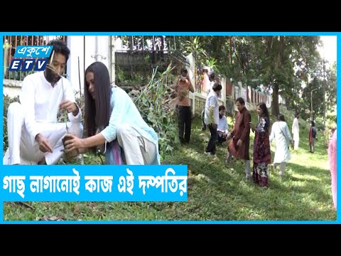 কাটা পড়লেই নতুন গাছ লাগান তারা