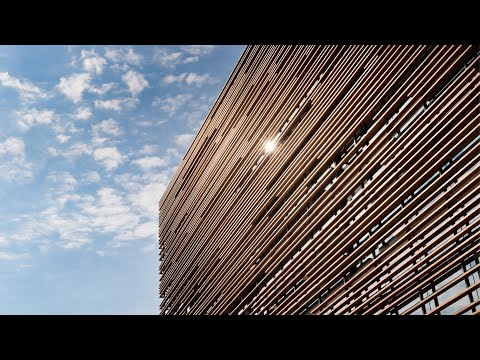 Patrimonium Contabilidade