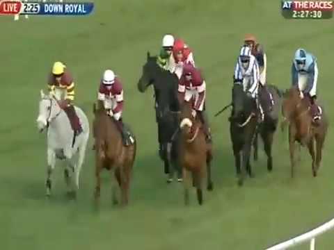 JNwine.com Champion Chase 2012