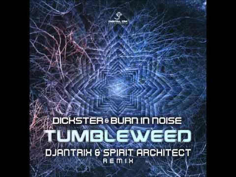 Dickster And Burn In Noise - Tumbleweed (Djantrix And Spirit Architect Remix)