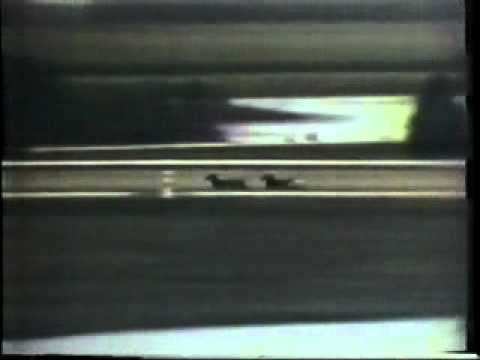 Hambletonian 1957 -Hickory Smoke