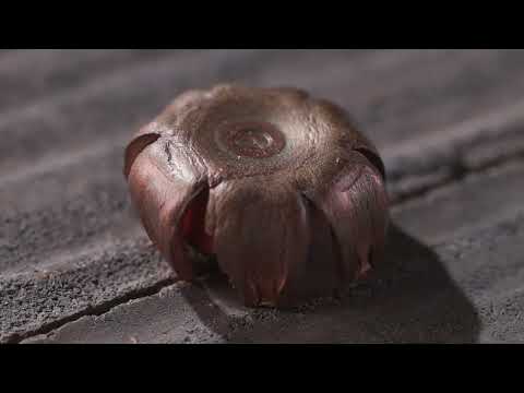 Freight Train Vs. Trophy Copper