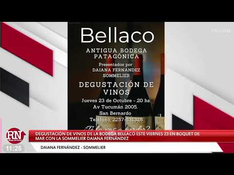 📢 Degustacion de vinos en San Bernardo