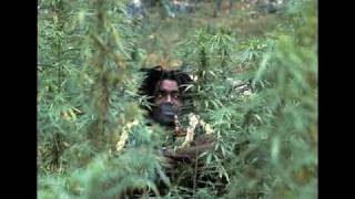 Peter Tosh - Dog Teeth