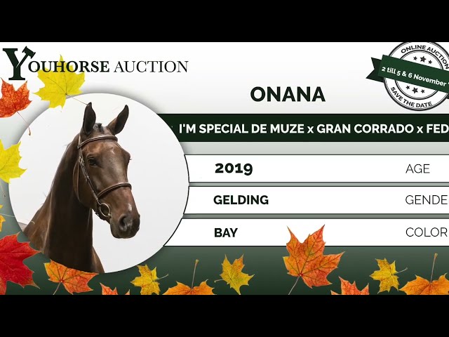 Onana showvideo