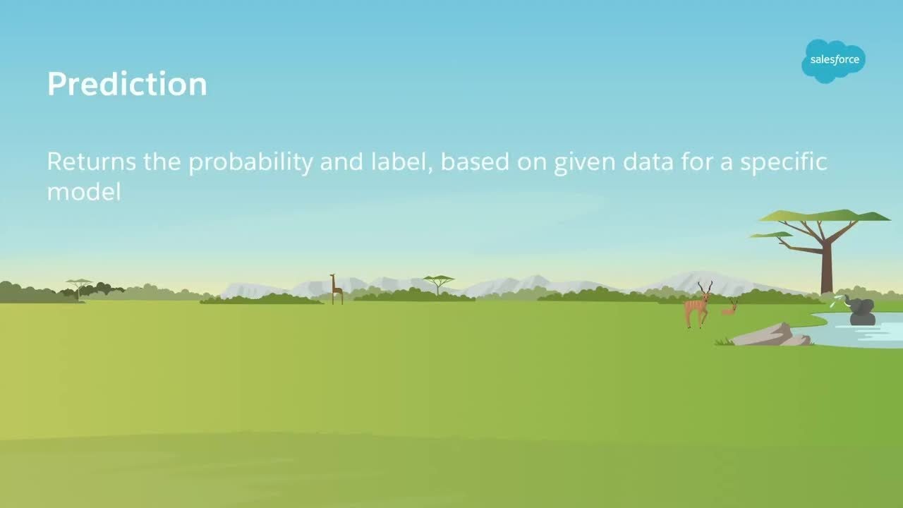 Einstein Platform Services Overview