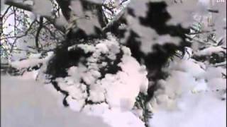 preview picture of video 'Decorah Eagles Snowed in, April 19 2011 (Time Lapses)'