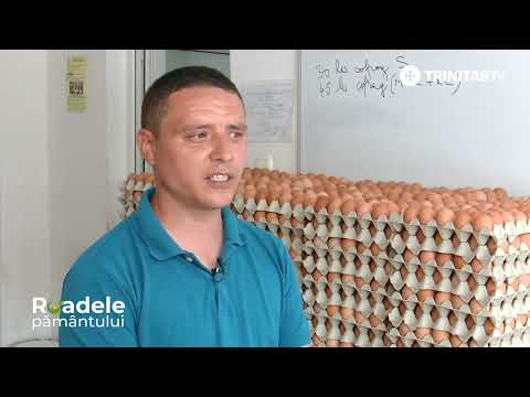 , title : '🐔 Așa arată o fermă de găini ouătoare crescute în sistem ecologic din județul Călărași'