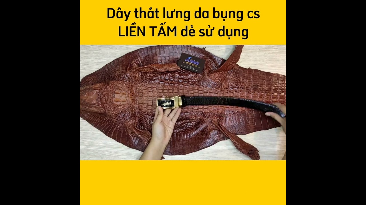 Thắt lưng liền nguyên tấm da bụng cá sấu N29D2 (Mặt vàng)