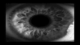LE BRUIT DES MOTS (extrait) LSDS