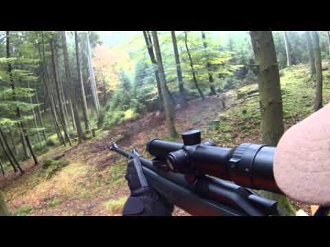 Drückjagd 17.10.2015