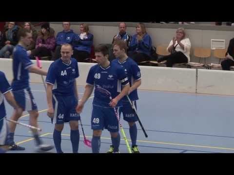 Blue Fox - SalBa la 15.2.2014