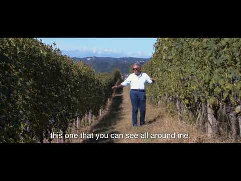 Tenuta Carretta - Harvest 2020