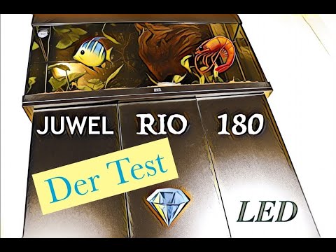 JUWEL RIO 180 LED | Der Test |  Unboxing and Setup 🐠 🦐#Juwel