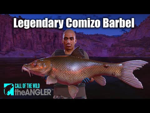 Legendary Comizo Barbel Location & Tackle :: Call of the Wild: The