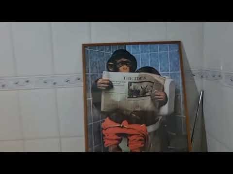 Alquilo hermosa casa en Tavai, Caazapá