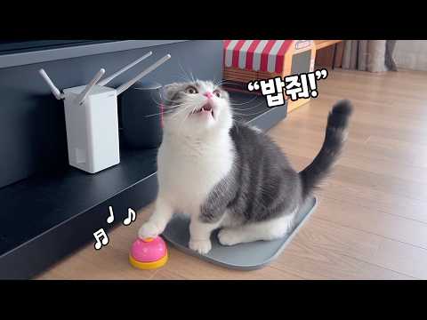 YouTube 썸네일