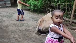 Cute boy play cow so happy 😊😊